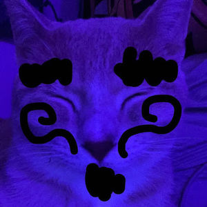 Meet your Posher, Makaylah